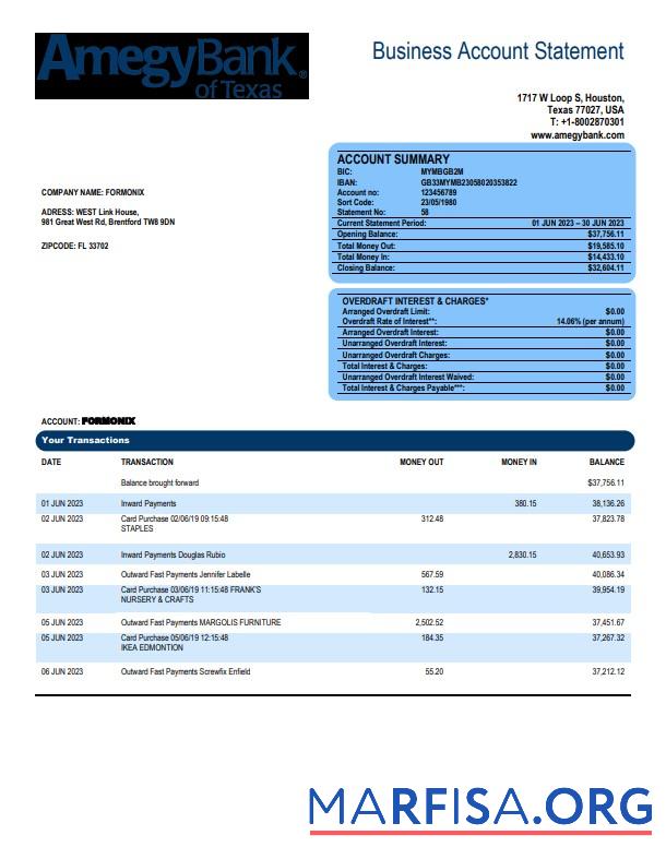 Blank Amegy Corporation Bank organization account statement Word and PDF template